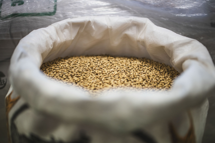 Brasserie de Bretagne (site de production et vente aux professionnels)