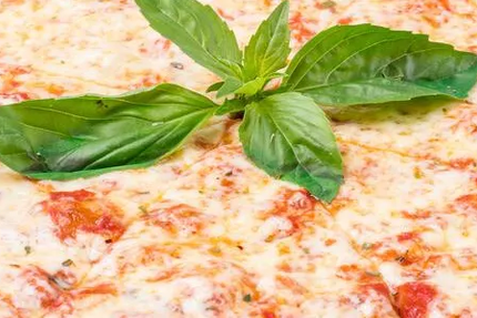 Restaurant la Mascotte