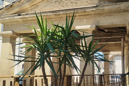 Le Centr'halles Restaurant Pizzeria