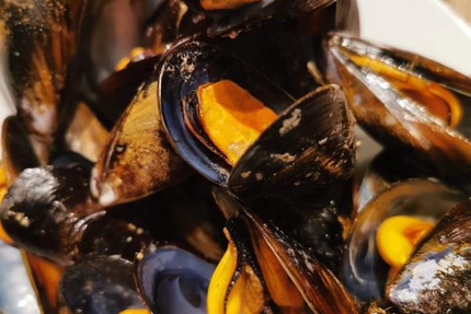 chez logan coquillages ( Les coquilles de Rosa )