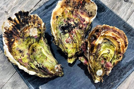 chez logan coquillages ( Les coquilles de Rosa )