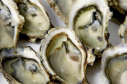 chez logan coquillages ( Les coquilles de Rosa )