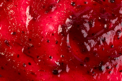 Hostellerie du Port de Groslée - restaurant proche Morestel