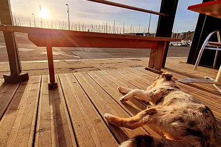 Le Chaland Qui Passe