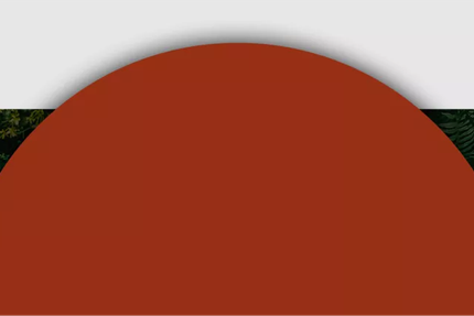 L'insolite restaurant africain