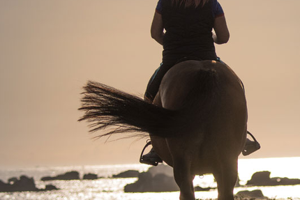 Le Comptoir de La Butte