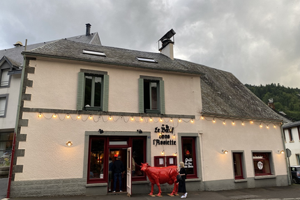 Le Bœuf Dans L'Assiette