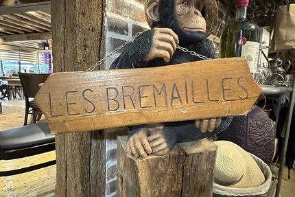 Les Brémailles de Sologne