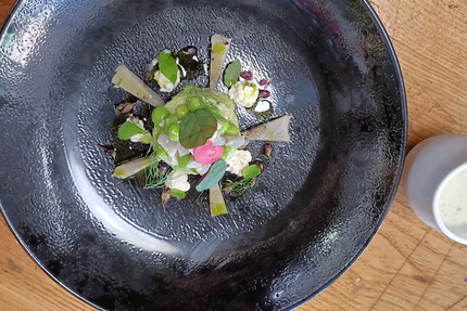 LES TERRASSES DE LA COTE ROUGE