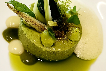 LES TERRASSES DE LA COTE ROUGE