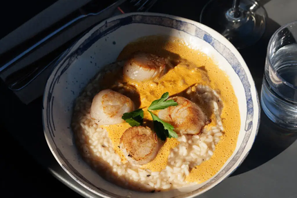 Escauma Ecailler en Provence