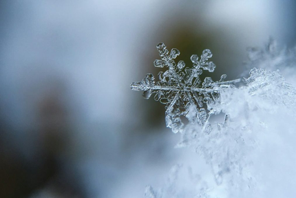 Restaurant le Colombier