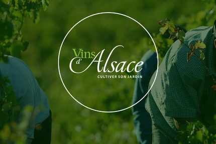 Auberge du Grand Ried - Biwand Remy