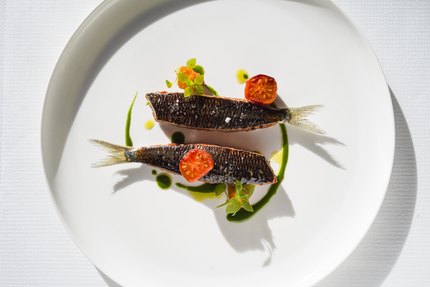 Les Jardins de Kerstéphanie