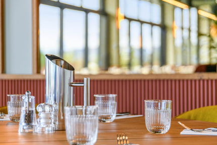 RESTAURANT BRASSERIE LE LOUP