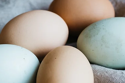 Guinguette du coussoulat