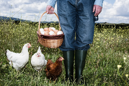 Guinguette du coussoulat