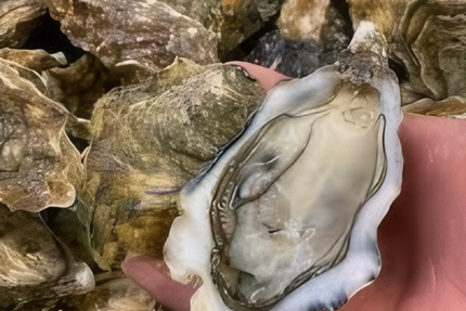 Les 3 P'tits Pichons