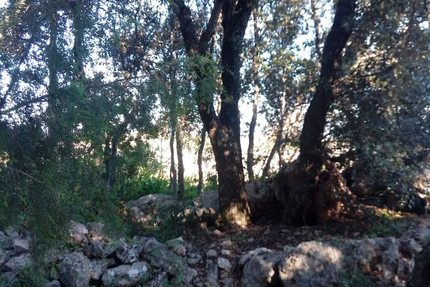 Le Jardin tranquille