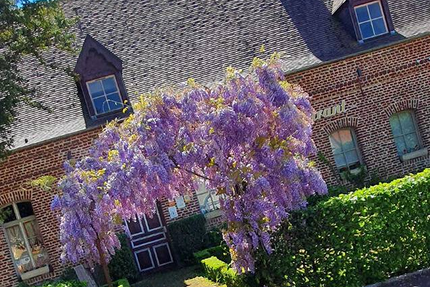 Estaminet le Sire Jérôme