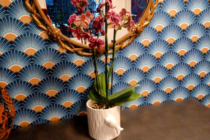 La Maison des Toqués