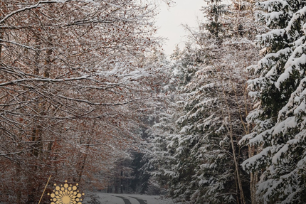 Restaurant "Le Comptoir d'Henri" - Hôtel L'Europe Colmar
