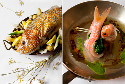 La Petite Maison de Cucuron