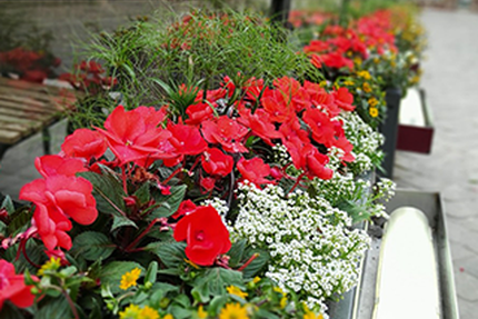 Restaurant-Winstub La Dime