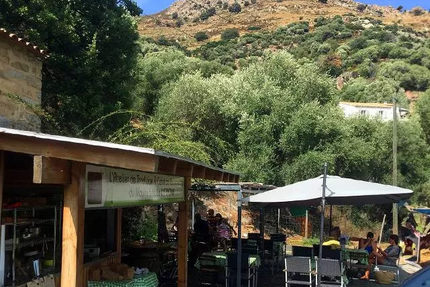 I PIATTINI DE FREDERIQUE