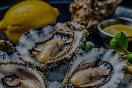 Saveurs Marines, restaurant de coquillages et de crustacés à La Grande-Motte