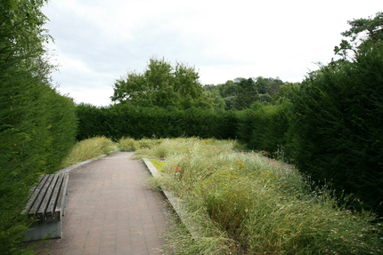 ESAT elisa 77 "chez elisa" à chelles