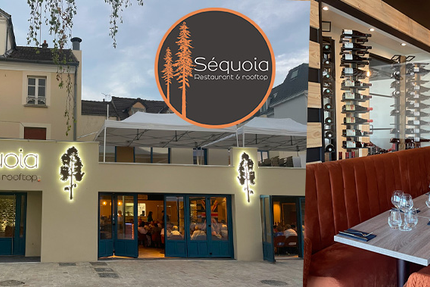 Le Séquoia - Triel-sur-Seine