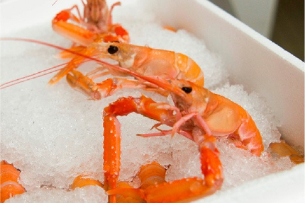 La Kantoz - Kantine Bretonne