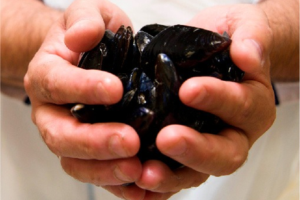 La Kantoz - Kantine Bretonne