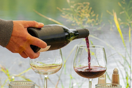 Restaurant du Lac de Carouge