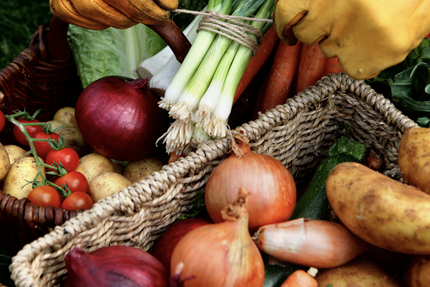 Brasserie La Maison Beautiran