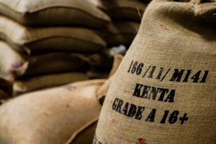 Crêperie Fleur de Sarrasin