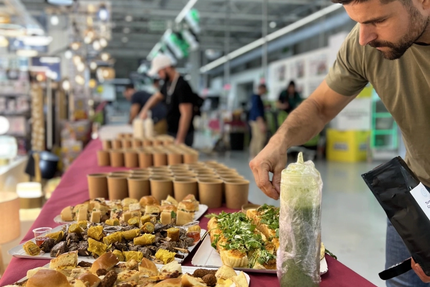 Les Terrasses de l'Agavon