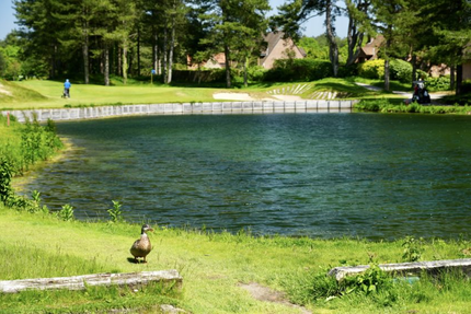 Restaurant du Golf d'Hardelot - Les Dunes