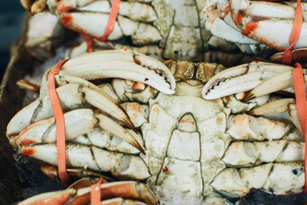 Aux Petits Oignons - Restaurant Herbignac