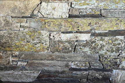 Restaurant l'Ancolie ( la Rosière 1850)