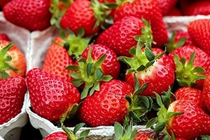 Restaurant et Traiteur près Poitiers - La Vieille Auberge