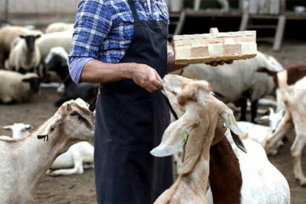 BURONS et BOUCHONS - Pub Cantalou, Caviste indépendant, Cave à manger et Epicerie Fine Paysanne