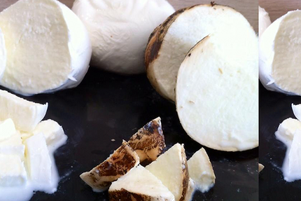 Les Filles Et Compagnie