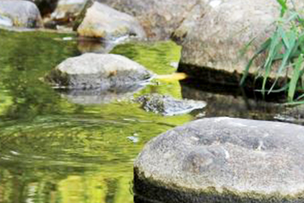 L'Etape Du Randonneur