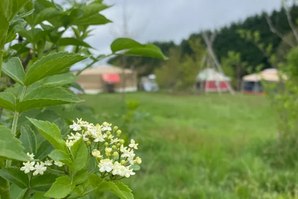 L’auberge au bord de l'eau