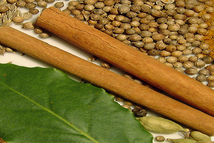 Rajasthan Restaurant