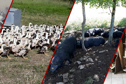 Ferme Auberge d'Esparnol