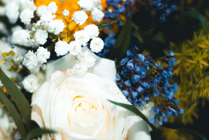 le Rond de Serviette