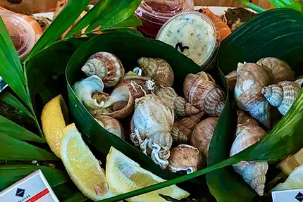 Ondes Marines Capestang